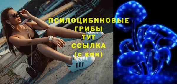 стаф Щигры