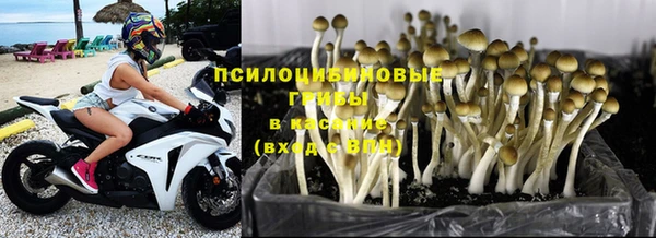 дмт Верхний Тагил